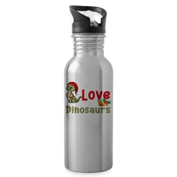 This Boy Loves Dinosaur Kids Boy Boy Dino - Water bottle with straw - silver - Right