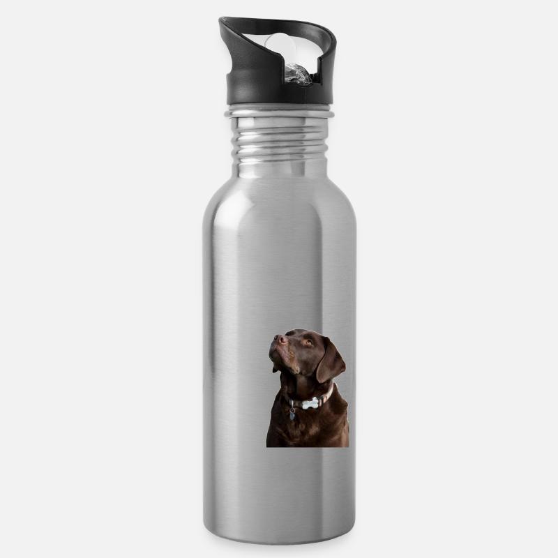 Die Gesetze eines Labradors - Trinkflasche mit integriertem Trinkhalm - Lightsilver