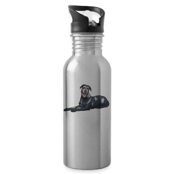 Irish Wolfhound Dog - Water bottle with straw - silver - Right
