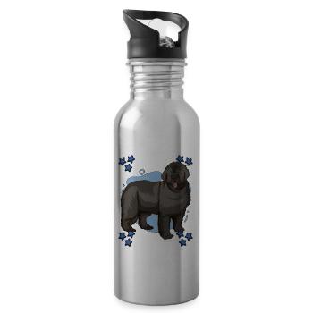 Neufundländer Newfoundland Blue Design - Water bottle with straw - silver - Right