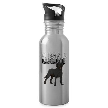 Black Labrador Labbi I Am A Labrador - Water bottle with straw - silver - Right