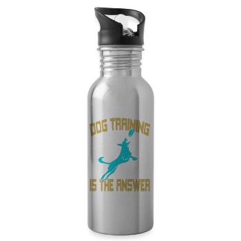 Dog Training Is The Answer Awesome Retro T-Shirt - Water bottle with straw - silver - Right