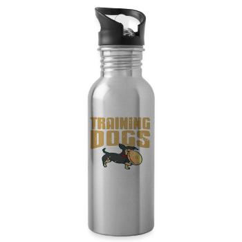 Training Dogs Is Calling & I Must Go Retro Funny - Water bottle with straw - silver - Right