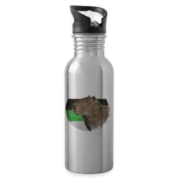 Demiromantic Pride Flag Capybara Sublte LGBTQ - Gourde avec paille intégrée - argent clair - Droite
