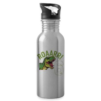 6th Birthday 6 Years Dino Dinosaur Fan - Water bottle with straw - silver - Right