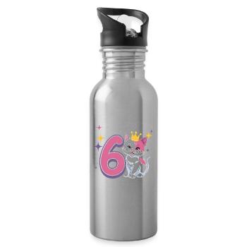 6th Birthday Cat Kitten Children's Birthday Party - Water bottle with straw - silver - Right