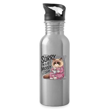 Moody Cat - Water bottle with straw - silver - Right