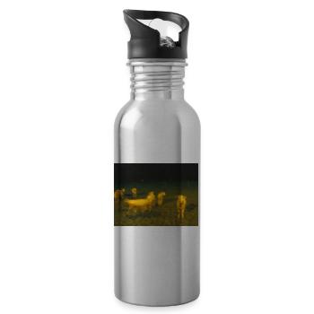 Sheep - Trinkflasche mit integriertem Trinkhalm - Lightsilver - Rechts