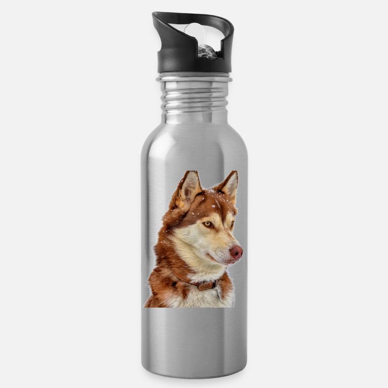 Husky Brun neige - Gourde avec paille intégrée - argent clair