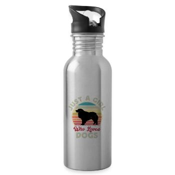 Kuvasz Dog Lover Silhouette Vintage Sunset - Gourde avec paille intégrée - argent clair - Droite