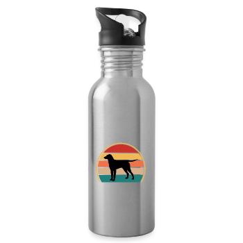 Lockig Beschichteter Retriever Hund Silhouette Retro Sonnenuntergang - Trinkflasche mit integriertem Trinkhalm - Lightsilver - Rechts