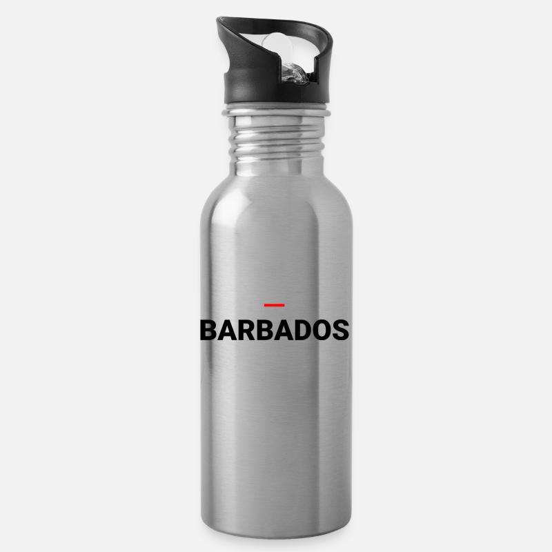BARBADOS - Water bottle with straw - silver