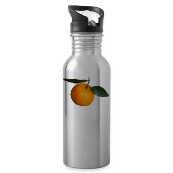 mandarin clementine tangerine mandarin veggie obs - Water bottle with straw - silver - Right