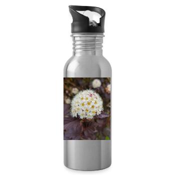 Neunrinde Blasenspiere Physocarpus capitatus - Trinkflasche mit integriertem Trinkhalm - Lightsilver - Rechts