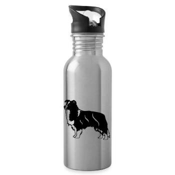 bordercollie02 - Water bottle with straw - silver - Right