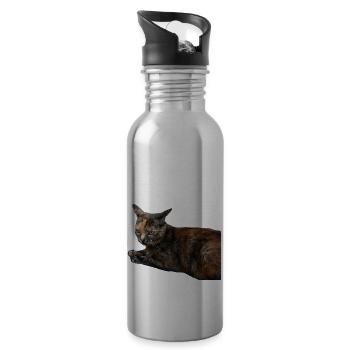 Cat Kitten Funny Cat Shirt Gift - Water bottle with straw - silver - Right