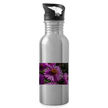 Italienische Gänseblümchen (auf Deutsch Berg-Aster Aster amellus - Trinkflasche mit integriertem Trinkhalm - Lightsilver - Rechts