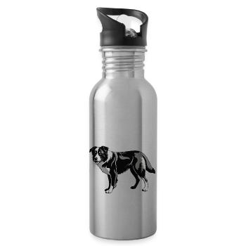 Border Collie - Conception de chien de compagnie - Gourde avec paille intégrée - argent clair - Droite