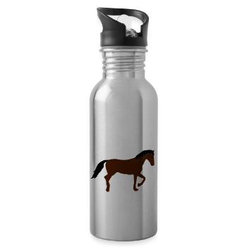 -Brauner- - Trinkflasche mit integriertem Trinkhalm - Lightsilver - Rechts