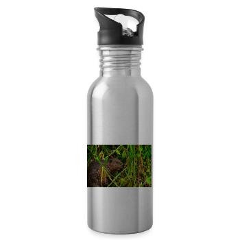 Beavers 2 - Water bottle with straw - silver - Right