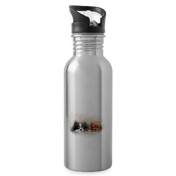 two cute cavalier spaniels transparent - Water bottle with straw - silver - Right