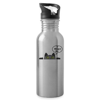 Cadeau chat perso coquin maine coon persan - Gourde avec paille intégrée - argent clair - Droite