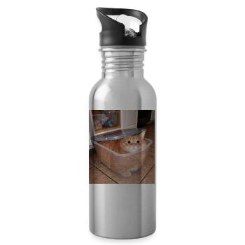 Ça colle parfaitement Humour drôle de mème de chat - Gourde avec paille intégrée - argent clair - Droite