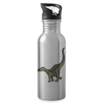 Dino 21 - Water bottle with straw - silver - Right
