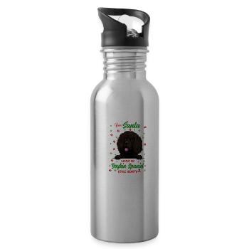 Boykin Spaniel Hund Weihnachten Hunderasse - Trinkflasche mit integriertem Trinkhalm - Lightsilver - Rechts