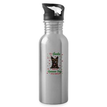 Canaan Hund Hund Weihnachten Hunderasse - Trinkflasche mit integriertem Trinkhalm - Lightsilver - Rechts