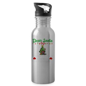 Dear Santa Before I Explain How Much Do You Know - Water bottle with straw - silver - Right