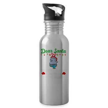 Cher Père Noël avant que j’explique combien savez-vous - Gourde avec paille intégrée - argent clair - Droite
