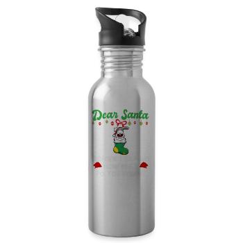 Cher Père Noël avant que j’explique combien savez-vous - Gourde avec paille intégrée - argent clair - Droite