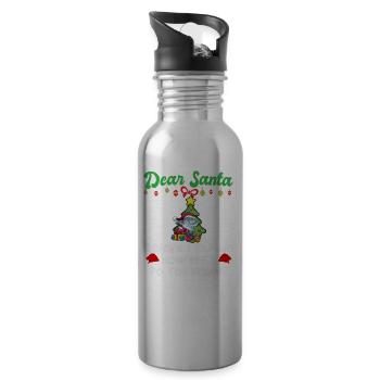 Cher Père Noël avant que j’explique combien savez-vous - Gourde avec paille intégrée - argent clair - Droite