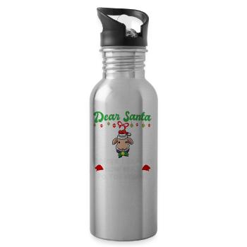 Dear Santa Before I Explain How Much Do You Know - Water bottle with straw - silver - Right
