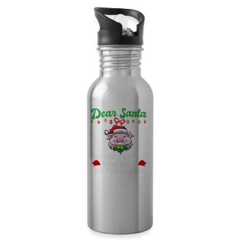 Cher Père Noël avant que j’explique combien savez-vous - Gourde avec paille intégrée - argent clair - Droite