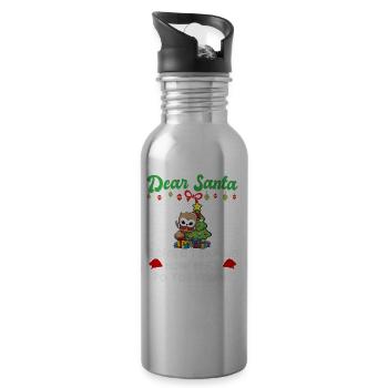 Dear Santa Before I Explain How Much Do You Know - Water bottle with straw - silver - Right