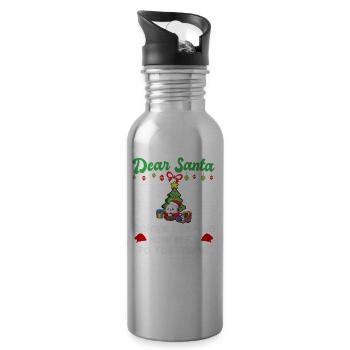 Dear Santa Before I Explain How Much Do You Know - Water bottle with straw - silver - Right