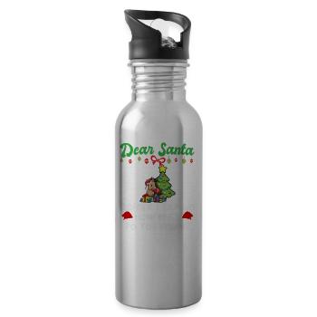 Dear Santa Before I Explain How Much Do You Know - Water bottle with straw - silver - Right