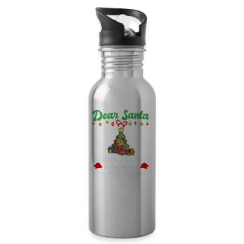 Dear Santa Before I Explain How Much Do You Know - Water bottle with straw - silver - Right
