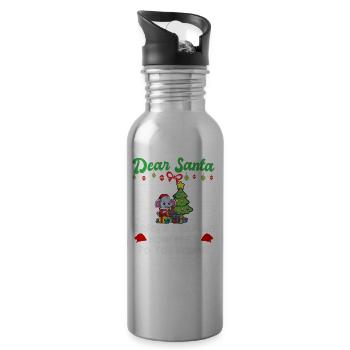 Cher Père Noël avant que j’explique combien savez-vous - Gourde avec paille intégrée - argent clair - Droite
