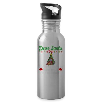 Cher Père Noël avant que j’explique combien savez-vous - Gourde avec paille intégrée - argent clair - Droite