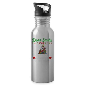 Cher Père Noël avant que j’explique combien savez-vous - Gourde avec paille intégrée - argent clair - Droite