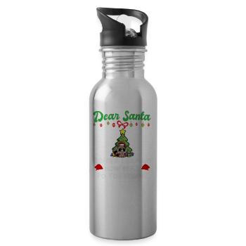 Dear Santa Before I Explain How Much Do You Know - Water bottle with straw - silver - Right