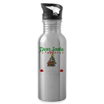 Cher Père Noël avant que j’explique combien savez-vous - Gourde avec paille intégrée - argent clair - Droite