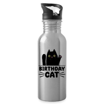 Anniversaire Cat Lover Funny Kitty - Gourde avec paille intégrée - argent clair - Droite