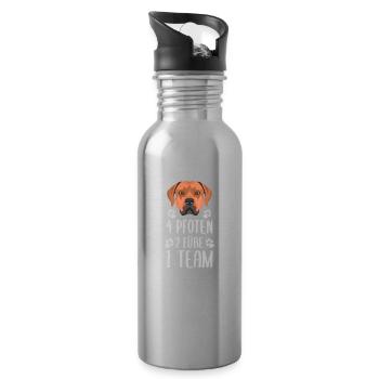 4 Pfoten 2 Füße 1 Team, Rhodesian Ridgeback - Trinkflasche mit integriertem Trinkhalm - Lightsilver - Rechts