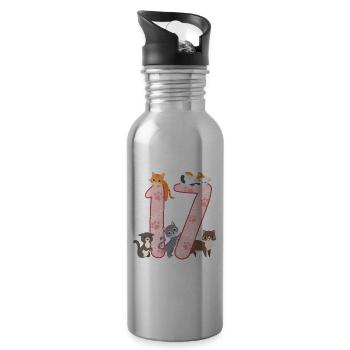 17th Birthday Girl Cats Outfit 17 years old - Water bottle with straw - silver - Right