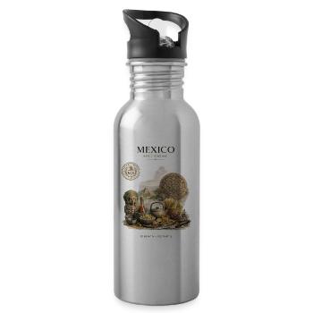 Mexico Aztec Heritage Artwork - Trinkflasche mit integriertem Trinkhalm - Lightsilver - Rechts