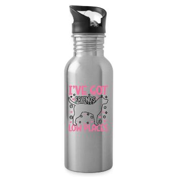 J’AI DES AMIS DANS DES ENDROITS BAS - Gourde avec paille intégrée - argent clair - Droite